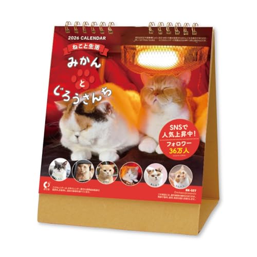 Amazon | 新日本カレンダー 2026年 カレンダー 卓上 ねこと生活 みかん